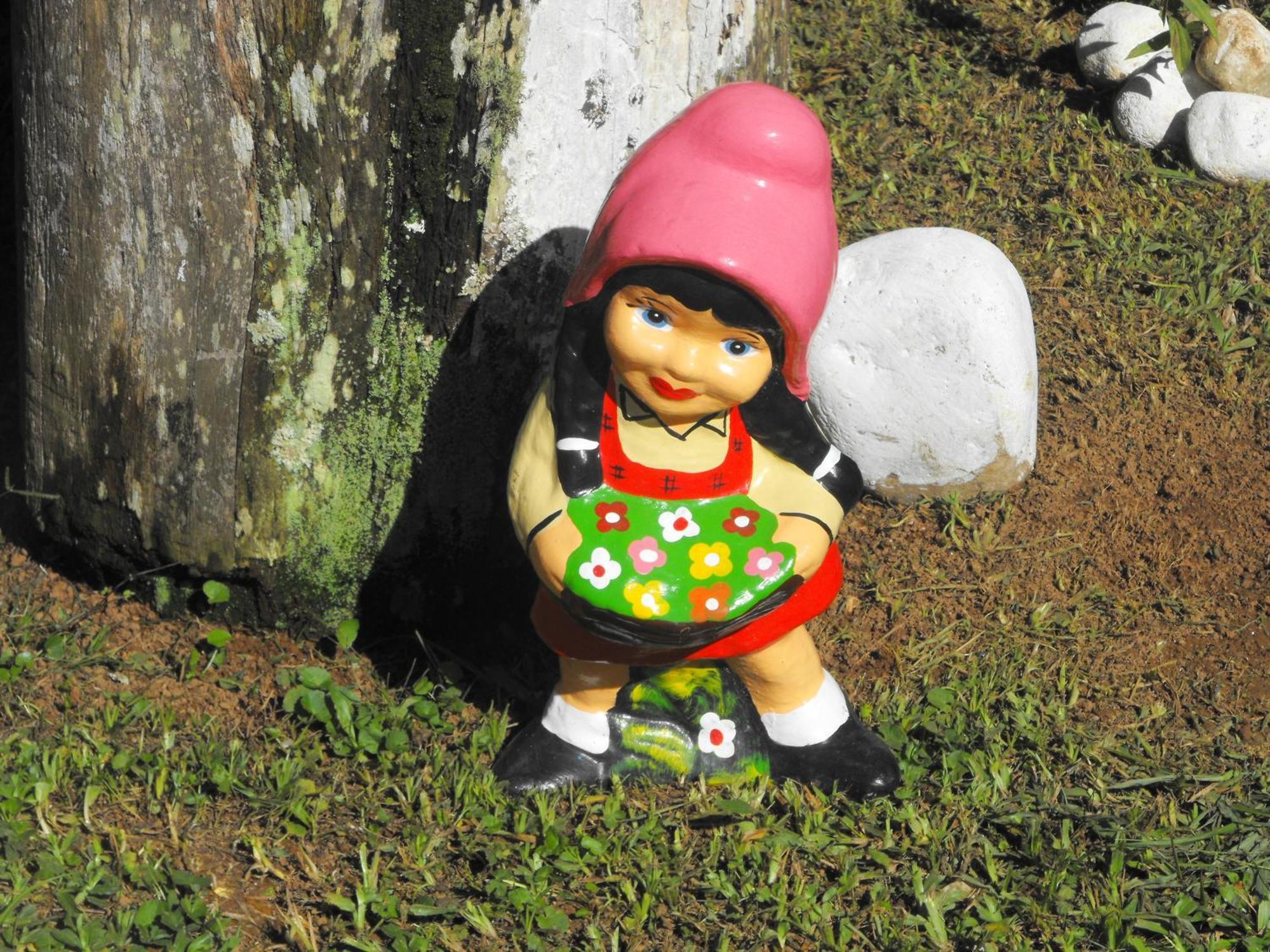 Pousada Cascata Dos Amores Teresópolis Exterior foto